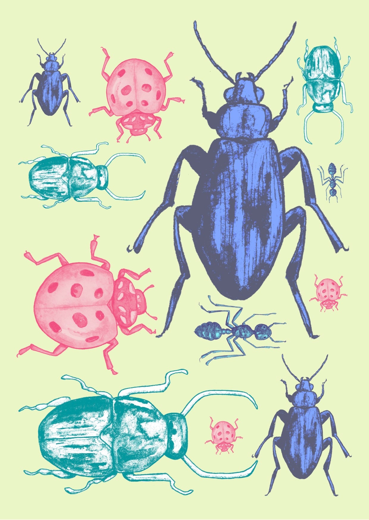 Beetle Collection Cream Background A6 Postcard