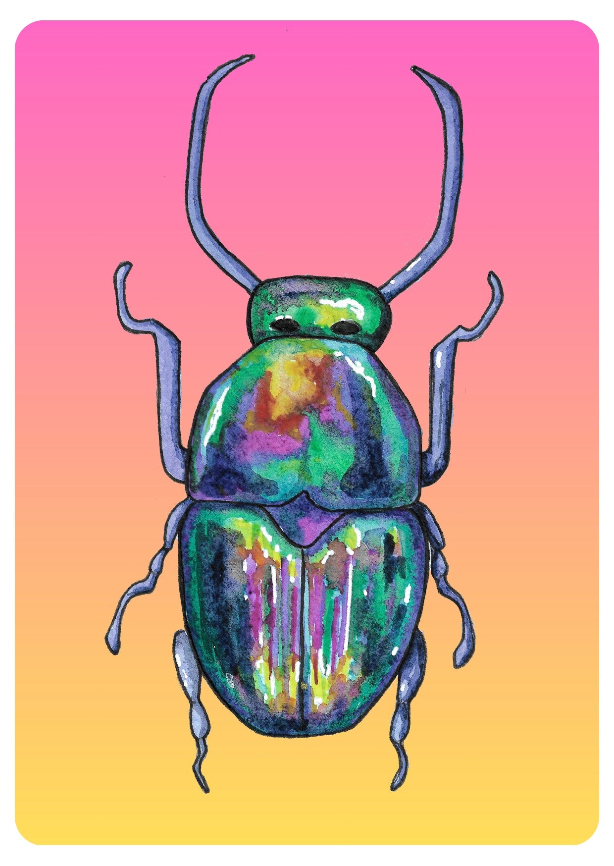 Rainbow Beetle A6 Postcard