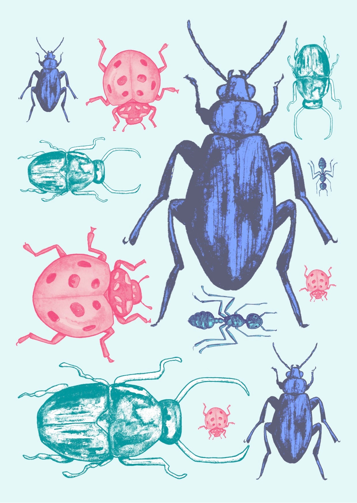 Beetle Collection Blue Background A6 Postcard